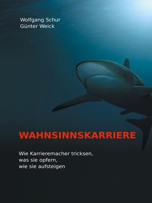 cover image of Wahnsinnskarriere
